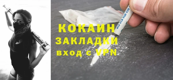 твердый Краснослободск