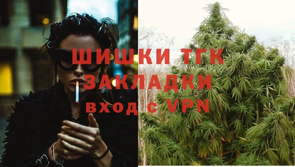 молекула духа Верхний Тагил