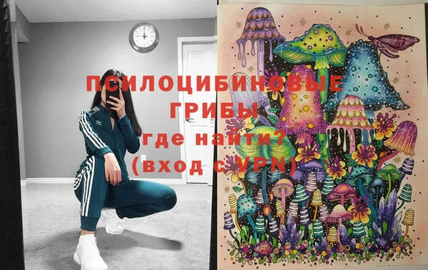 молекула духа Верхний Тагил