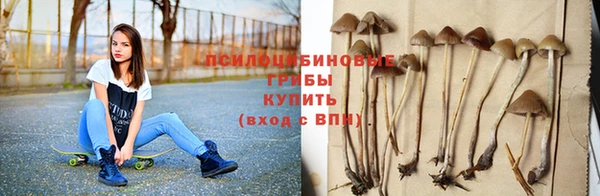 твердый Краснослободск